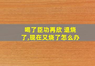 喝了臣功再欣 退烧了,现在又烧了怎么办